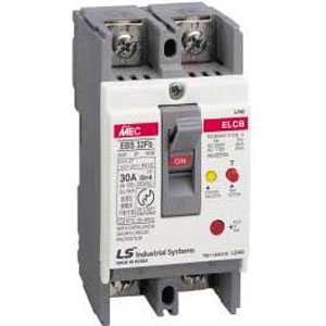 ELCB LS 2P/100A/5kA – EBE102Fb